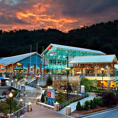 The Solstice - Amenities Galore Mountain Retreat Gatlinburg Dış mekan fotoğraf