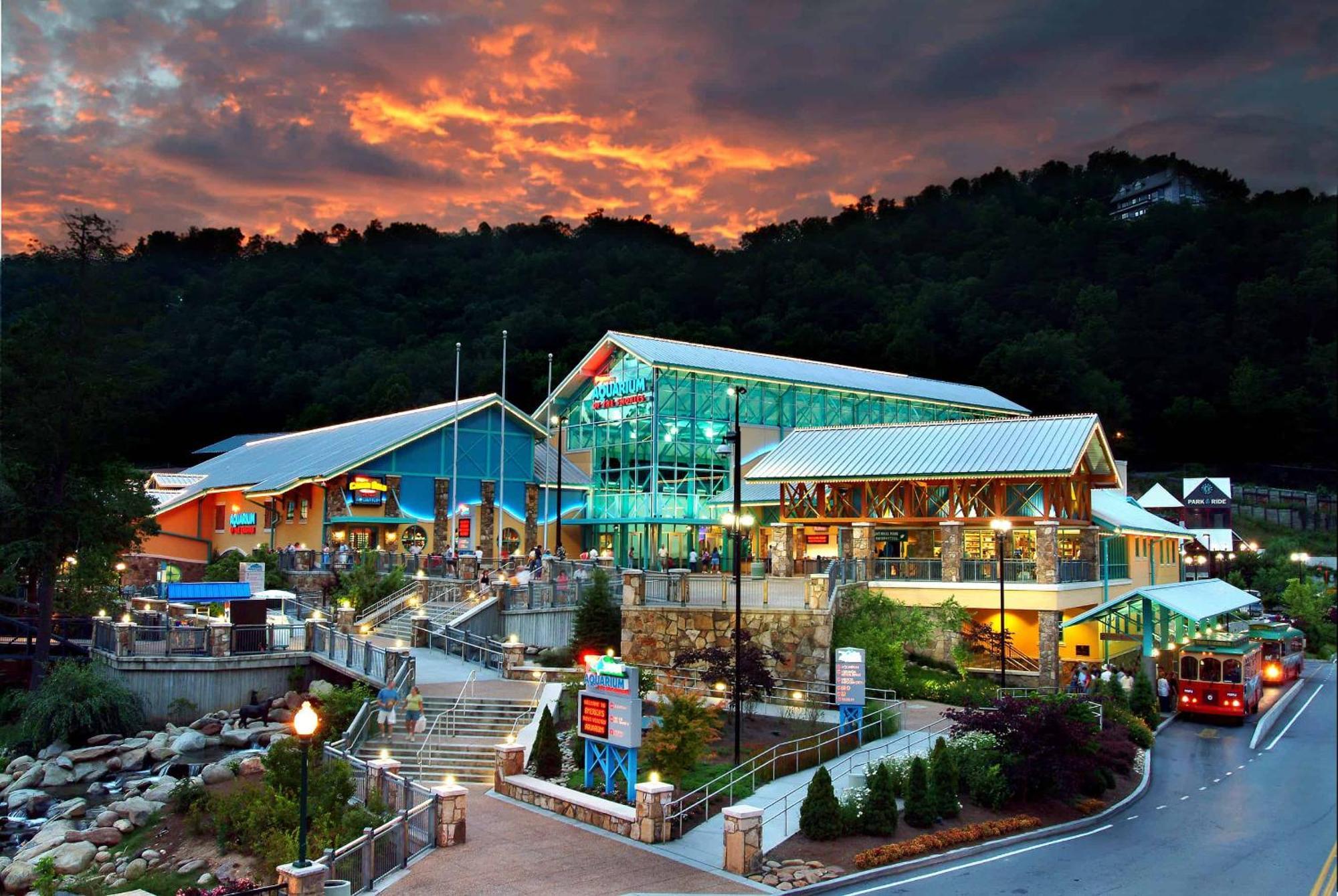 The Solstice - Amenities Galore Mountain Retreat Gatlinburg Dış mekan fotoğraf